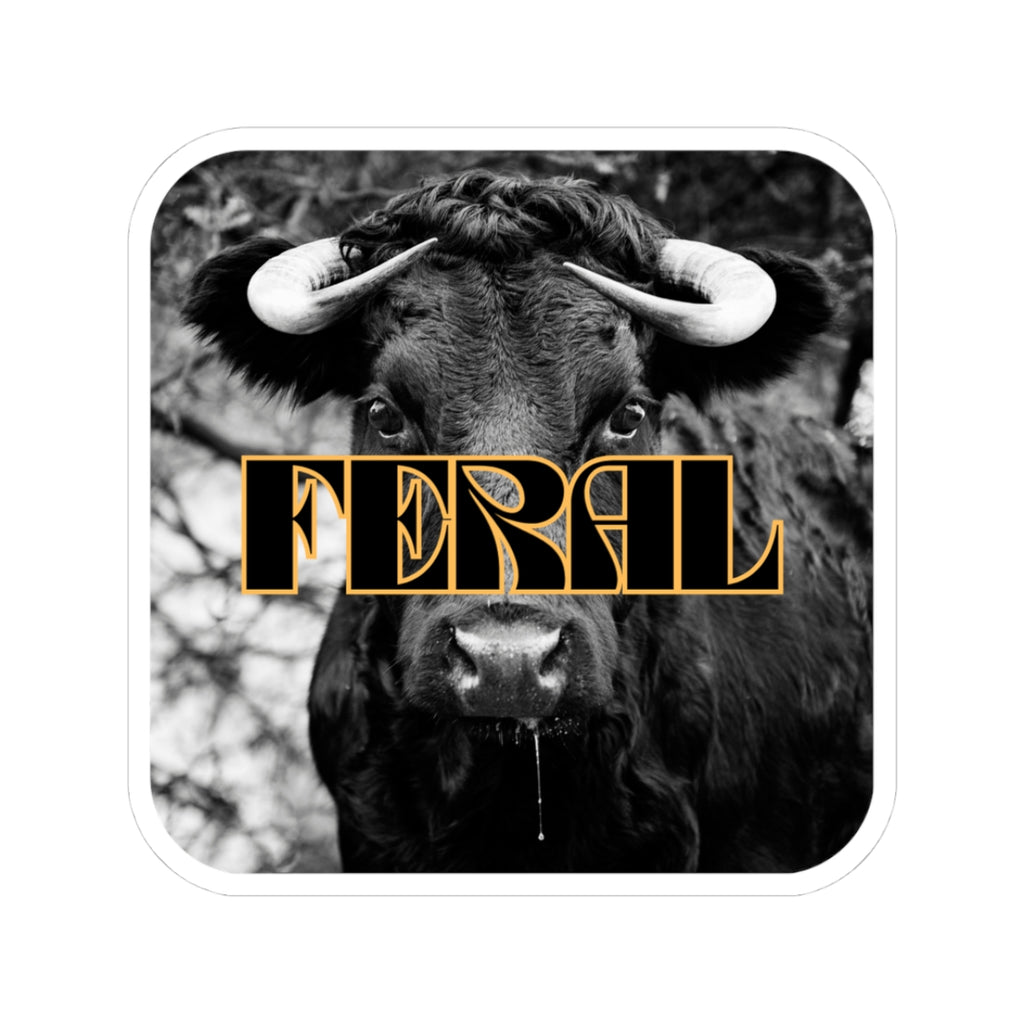 Mess with the Bull Sticker