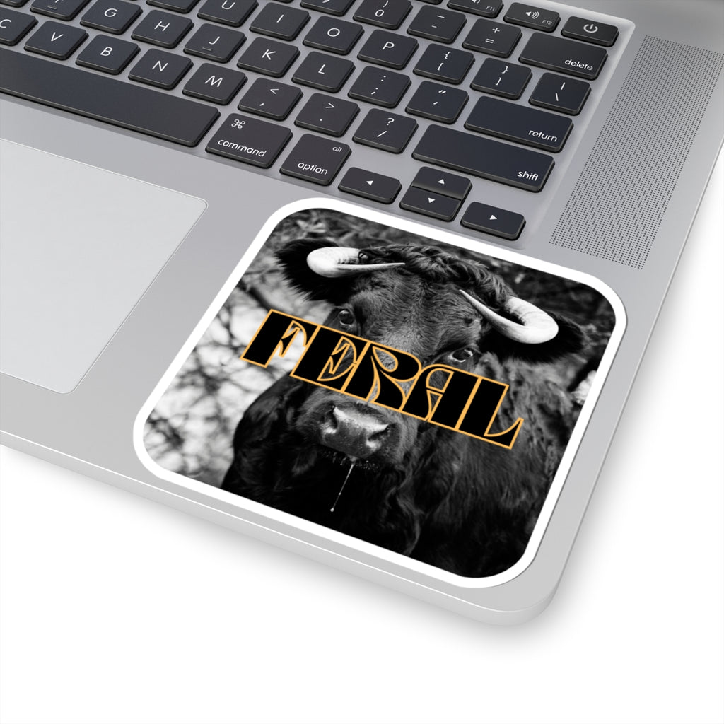 Mess with the Bull Sticker