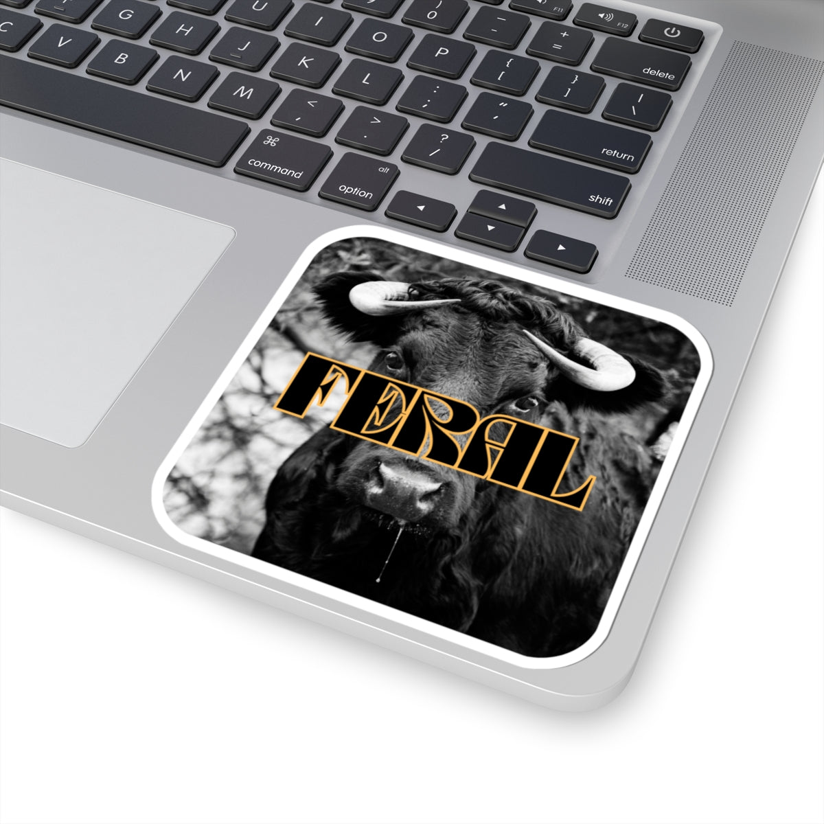 Mess with the Bull Sticker