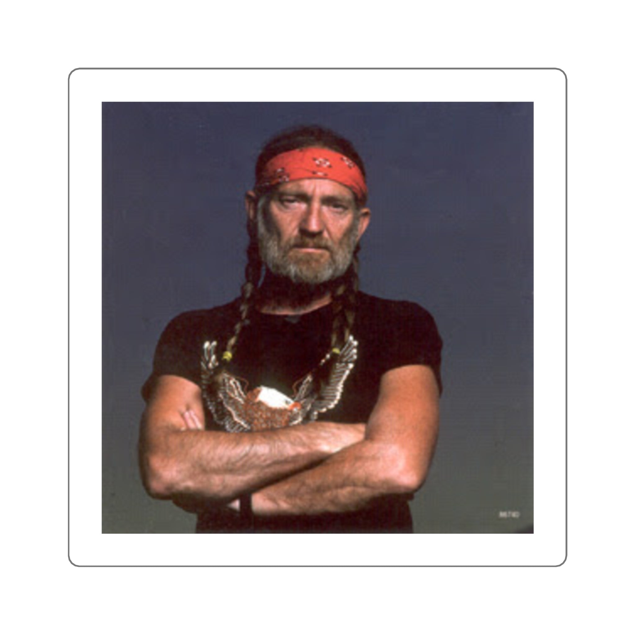 Dream Boat Willie