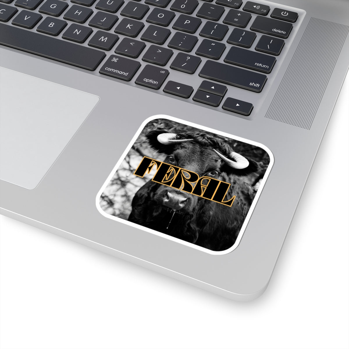 Mess with the Bull Sticker